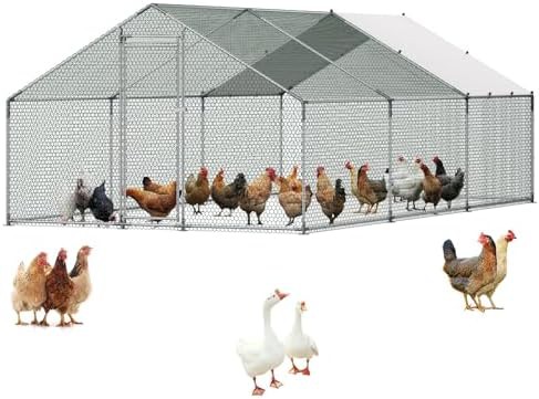 Extra Large Spire Roof Poultry Run