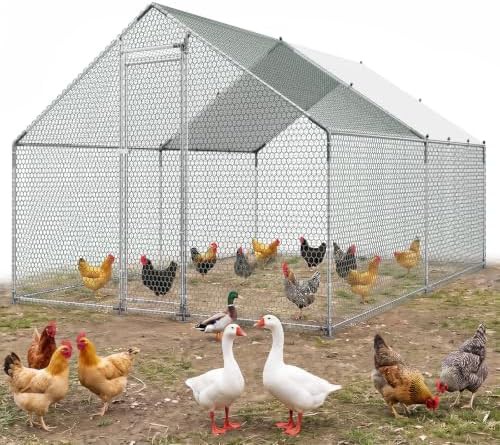 Rectangular Walk In Poultry Enclosure