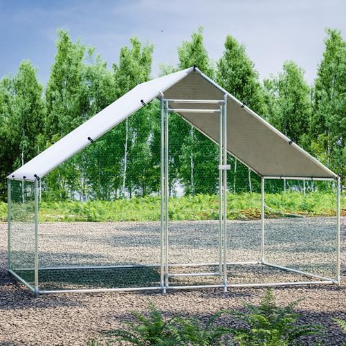 Standard walk-in chicken run with cover