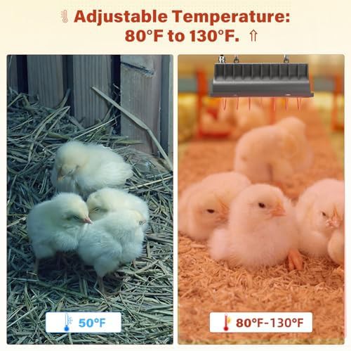 Adjustable 250W heat lamp for poultry — photo 3