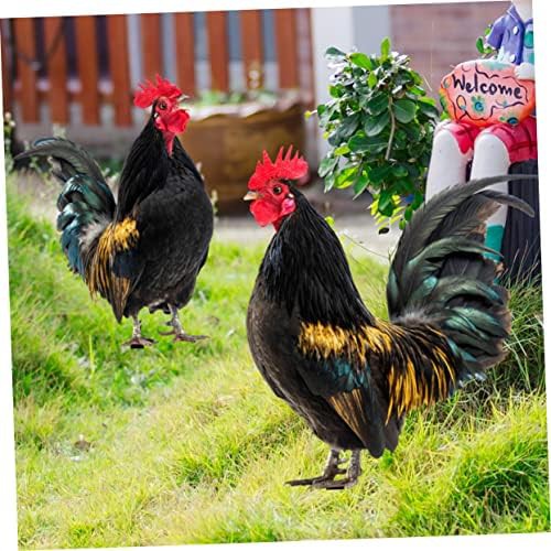 Two piece acrylic rooster garden stakes — photo 4