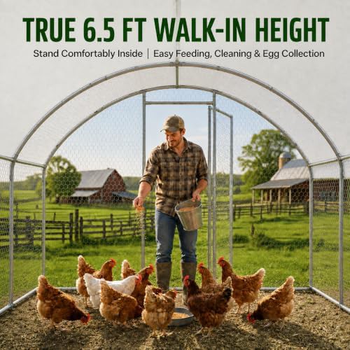 Square metal outdoor chicken run enclosure — photo 3
