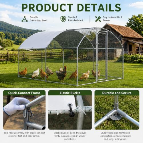 Square metal outdoor chicken run enclosure — photo 5