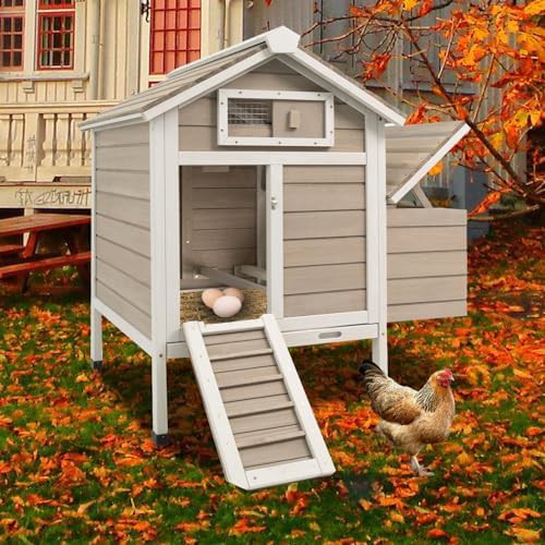 Compact wooden poultry house with access ramp