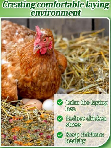 Aromatic nesting herbs for indoor and outdoor coops — photo 4