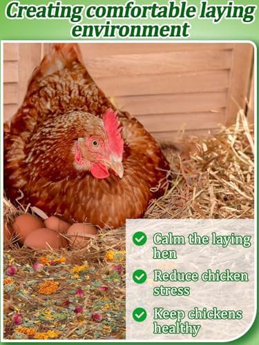 Bulk nesting herbs for poultry bedding boxes — photo 4