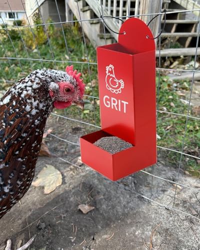 Metal oyster shell and grit feeder — photo 3