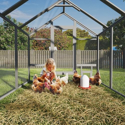 Large wooden gray chicken run for twelve birds — photo 3