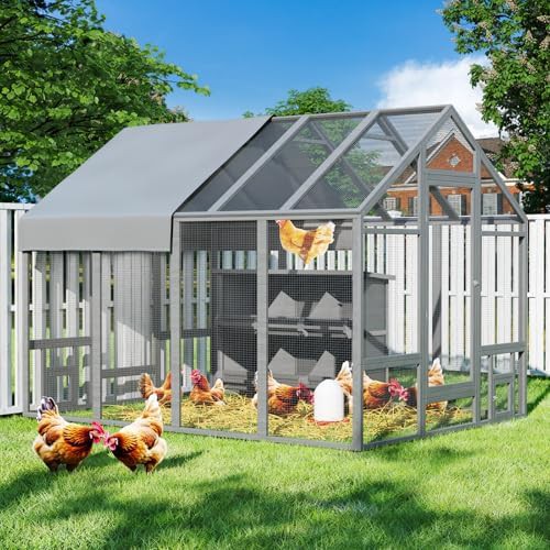 Gray wooden chicken coop with nesting box