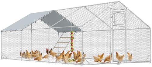 Large metal walk in poultry run with feeder