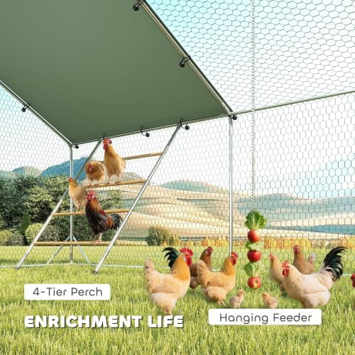 Large metal walk in poultry run with feeder — photo 3