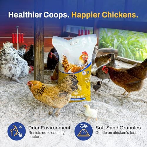 Two pack premium dust free chicken sand — photo 4