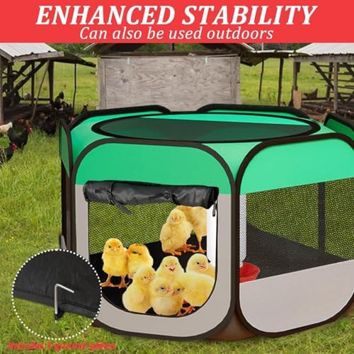 Portable foldable chicken brooder tent — photo 5