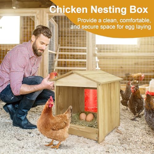 Three compartment wooden egg nesting box — photo 3
