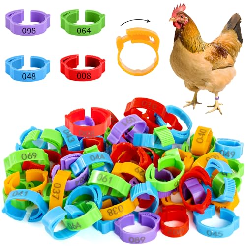 100pcs Chicken Leg Bands