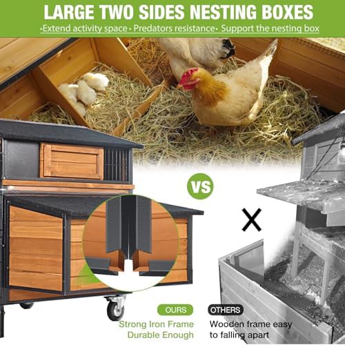 Metal frame chicken coop with leakproof tray — photo 4