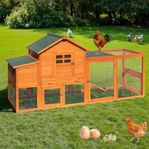 Large wooden duck and hen house for outdoors