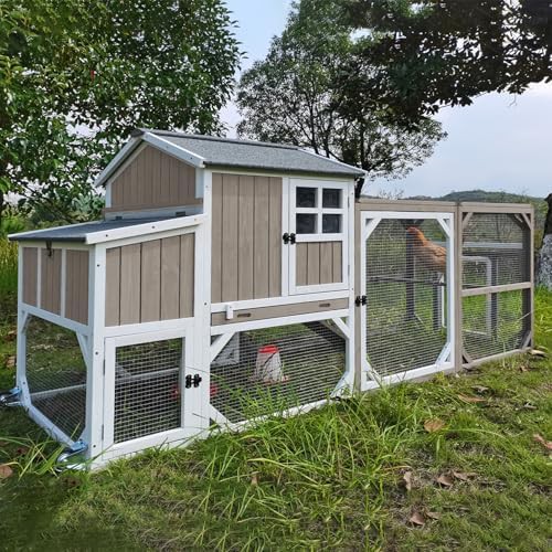 Large chicken tractor with three nesting boxes