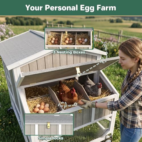 Large chicken tractor with three nesting boxes — photo 3