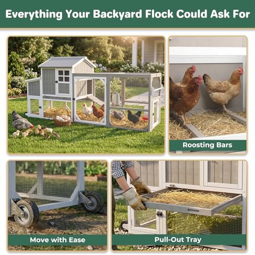Large chicken tractor with three nesting boxes — photo 5