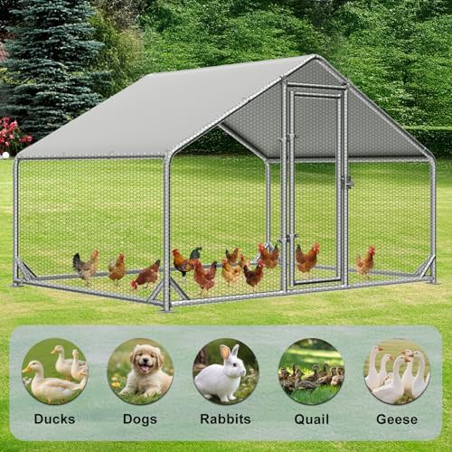 Metal walk in coop for ten hens — photo 4