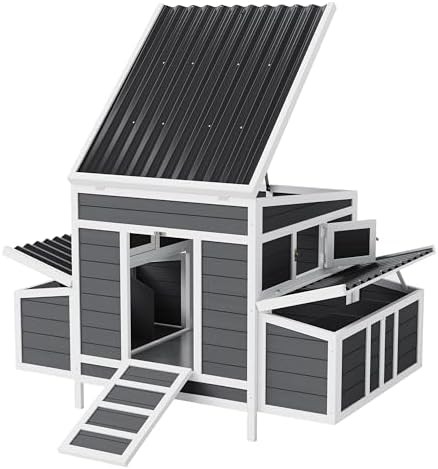 Wooden chicken coop with dual nesting boxes