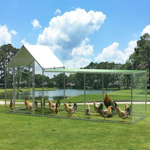 Large metal chicken run for the yard