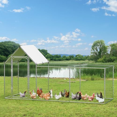 Large metal chicken run for the yard — photo 3
