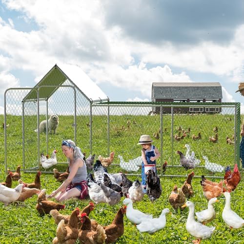 Large metal chicken run for the yard — photo 4