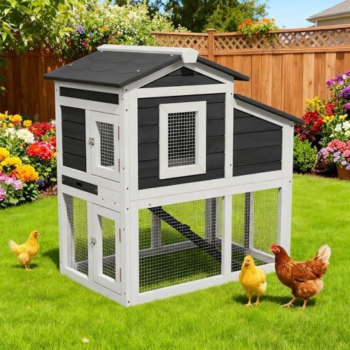 Wooden hen house with run for backyard farms