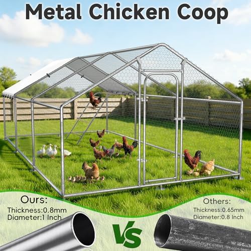 Extra large walk-in metal poultry run — photo 3