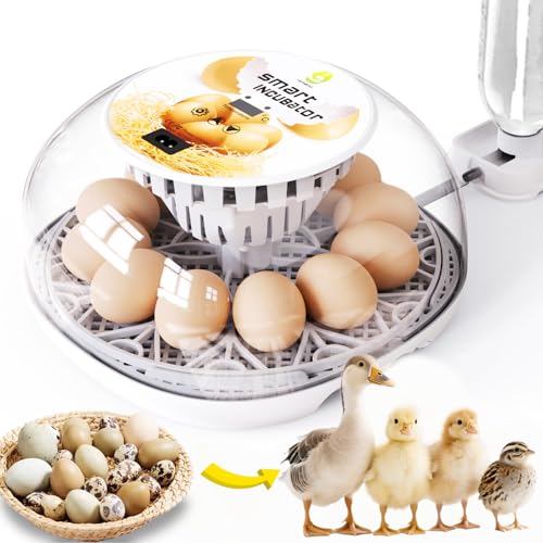 Egg Incubators for Hatching Eggs Chicken Eggs Incubator for