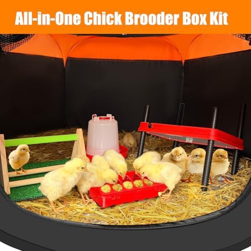 Chick brooder box with heating plate — photo 5