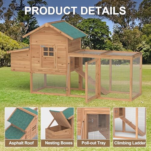 Wooden outdoor chicken house with nesting box — photo 5