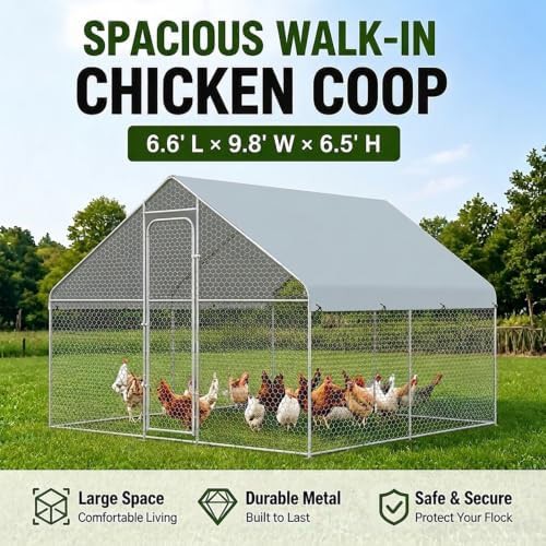 Small metal walk in coop with spire roof — photo 5