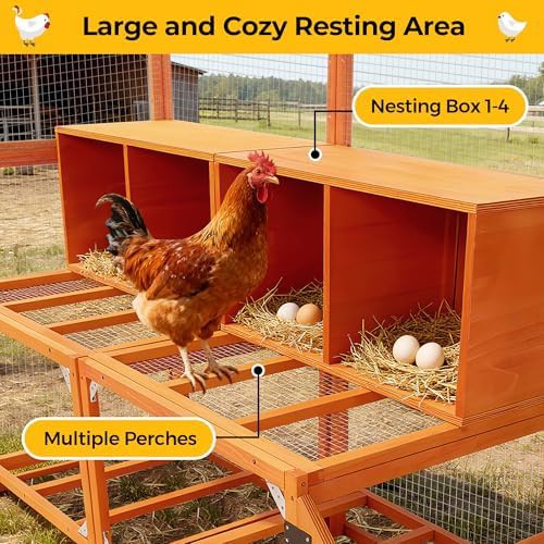 Extra large orange chicken house with waterproof cover — photo 5