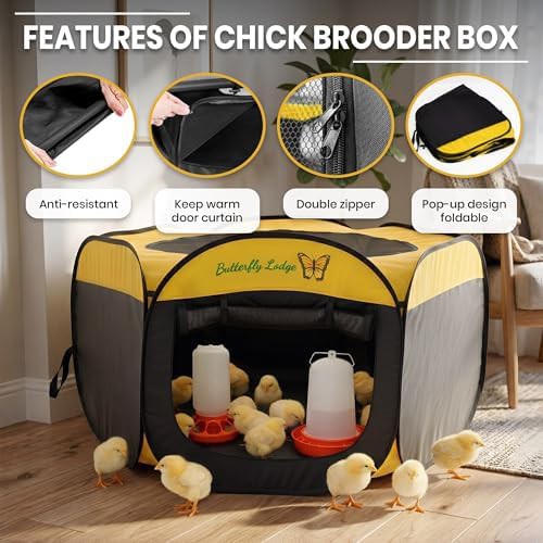 Large indoor chick brooder and starter kit — photo 3