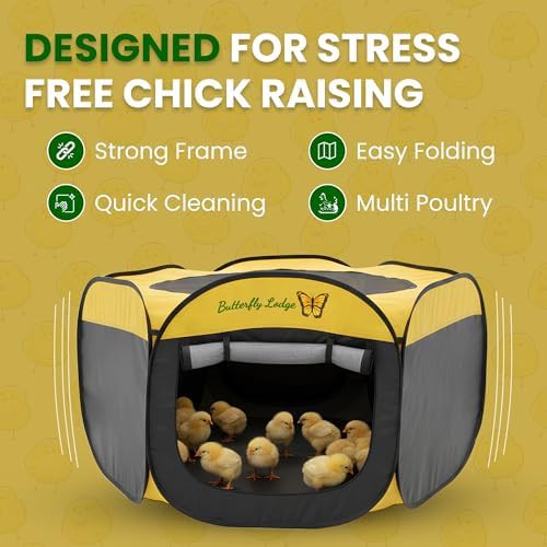 Large indoor chick brooder and starter kit — photo 4