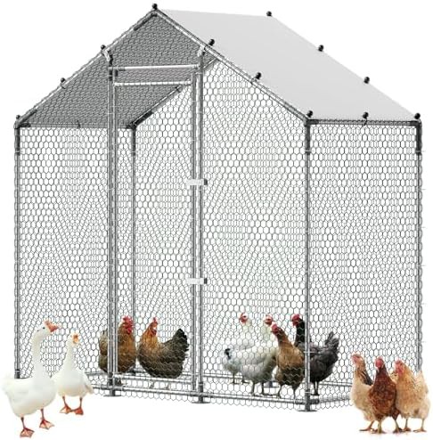 Narrow Spire Roof Chicken Run