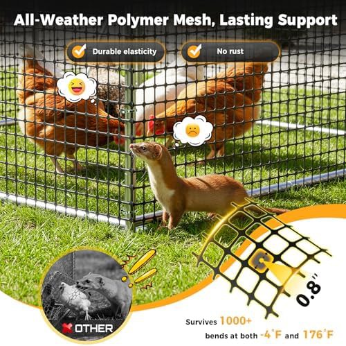 Medium walk in poultry enclosure with roof cover — photo 4