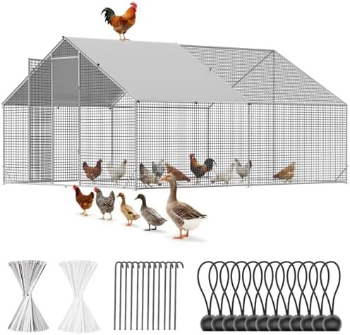 Large walk in chicken run with protective cover