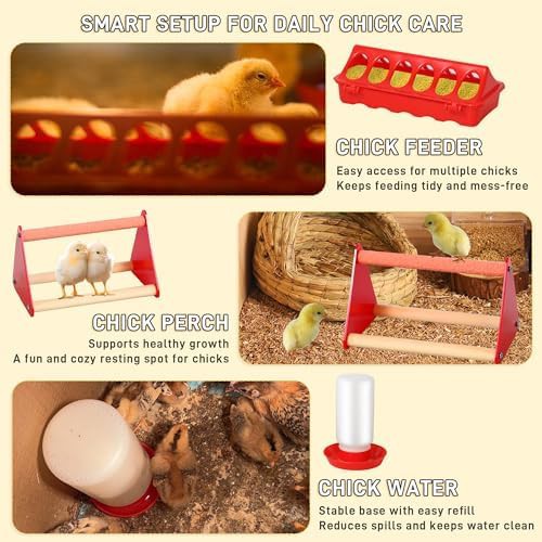 Chick starter kit with heating plate — photo 4