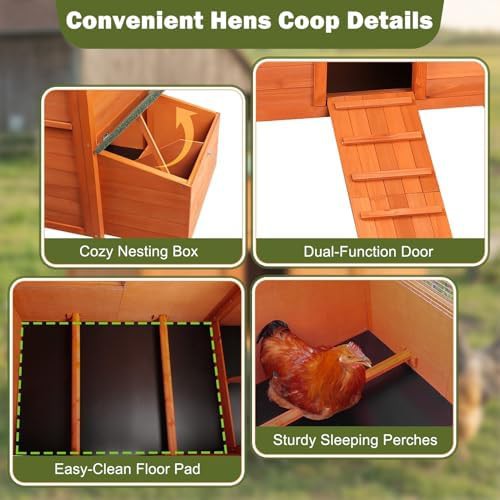 Insulated wooden chicken house with elevated hutch — photo 3