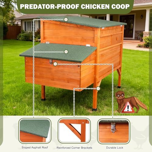 Weatherproof wooden chicken house with asphalt roof — photo 5