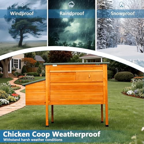 Insulated wooden coop with asphalt roof — photo 5