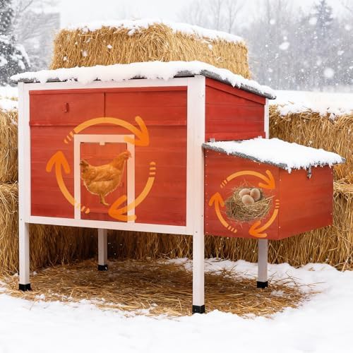 Ventilated wooden poultry cage with asphalt