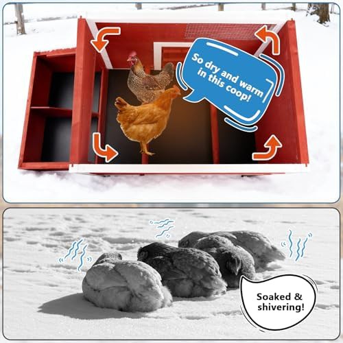 Ventilated wooden poultry cage with asphalt — photo 4