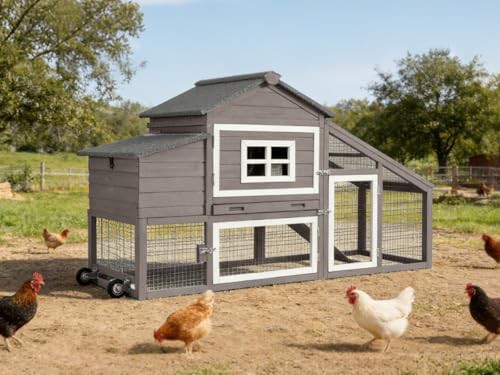 Brown expandable chicken house with uv roof