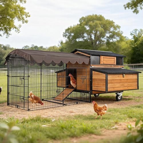 Iron frame mobile chicken coop with run