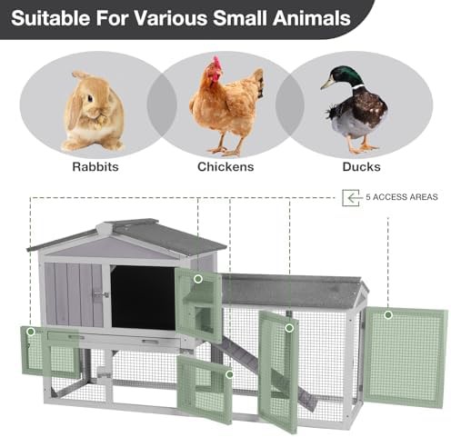 Small wooden chicken house with leakproof tray — photo 3